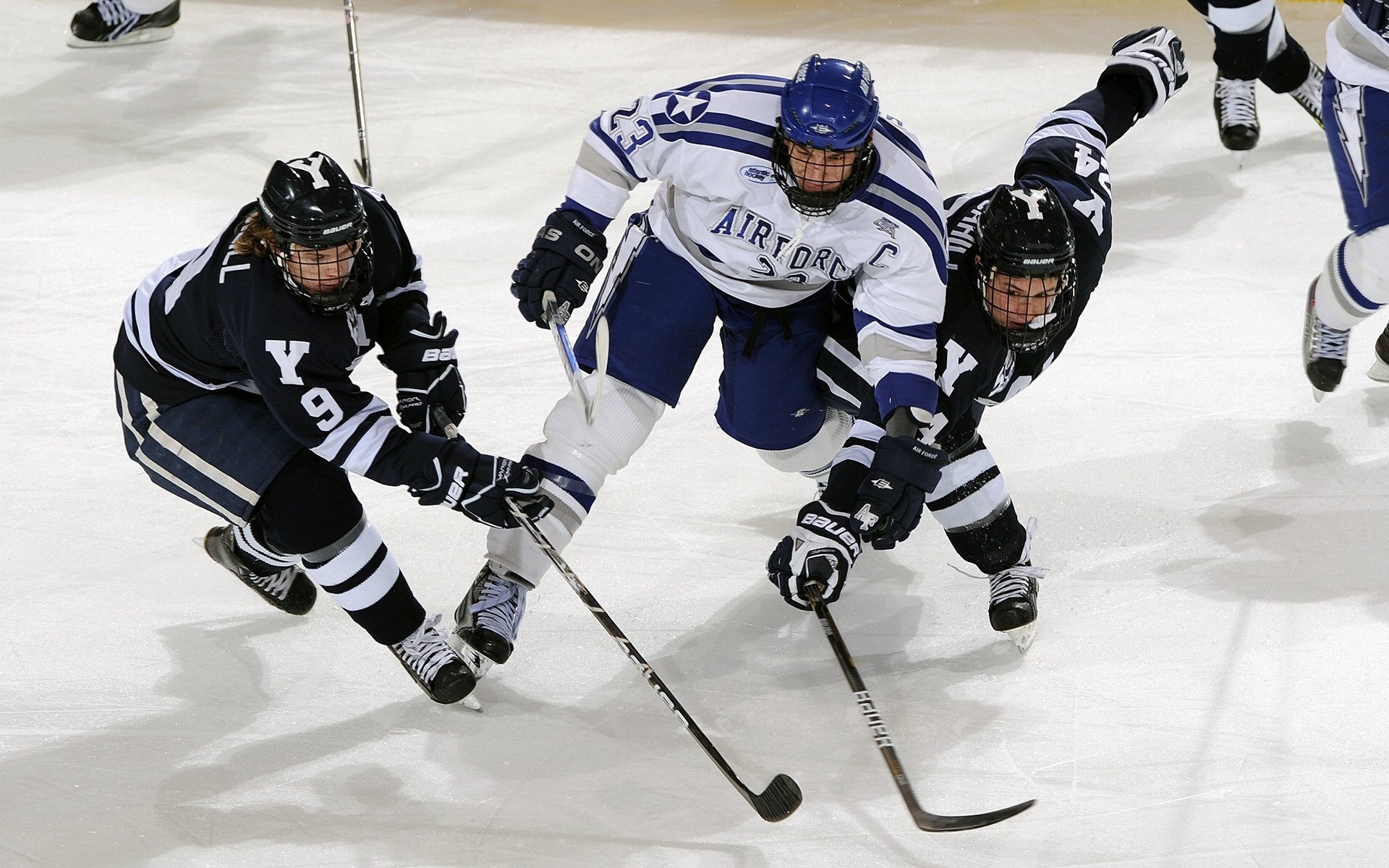 体育新闻中心协办国内首个体育传播信用评价体系，体育新闻公司